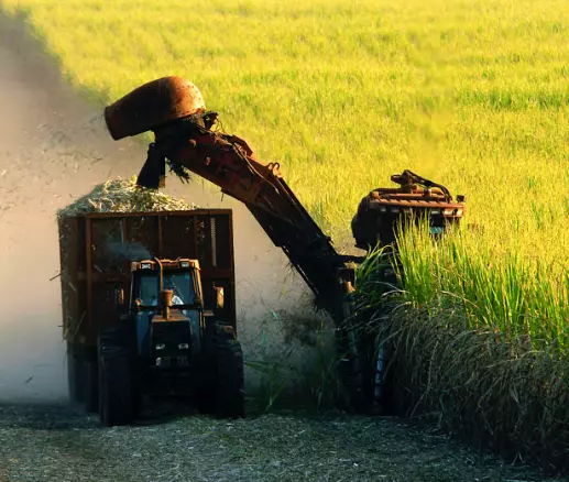 Federação canavieira defende PEC dos Biocombustíveis no Ministéro da Agricultura